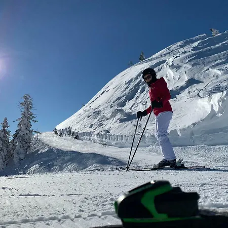 Mariazeller Mariazell