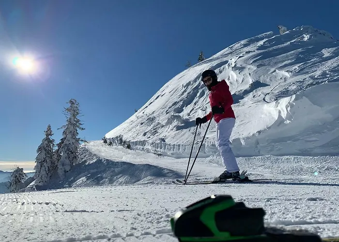 Mariazeller 玛利亚采尔